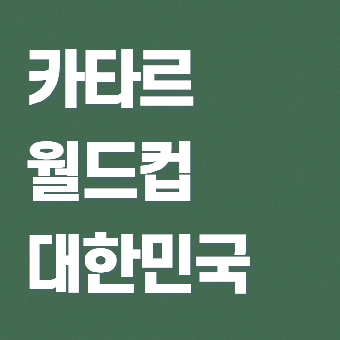 녹색바탕에 타이핑된 카타르 월드컵 대한민국
