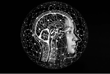 아침 루틴을 유지하는 3가지 뇌과학 원칙