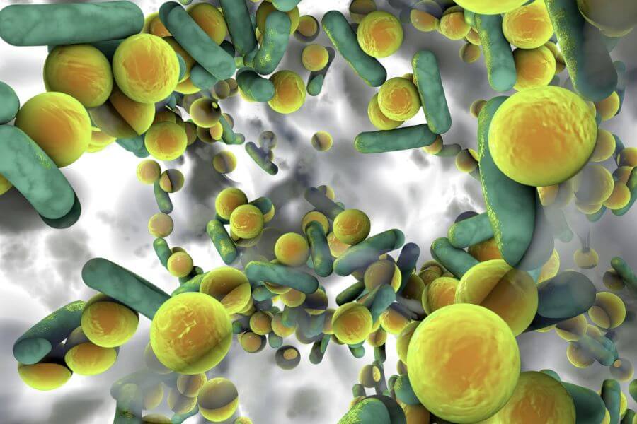 잘못된 관리 방식이 세균막(바이오 필름)을 더 활성화시킨 사례 중심 경험 기록