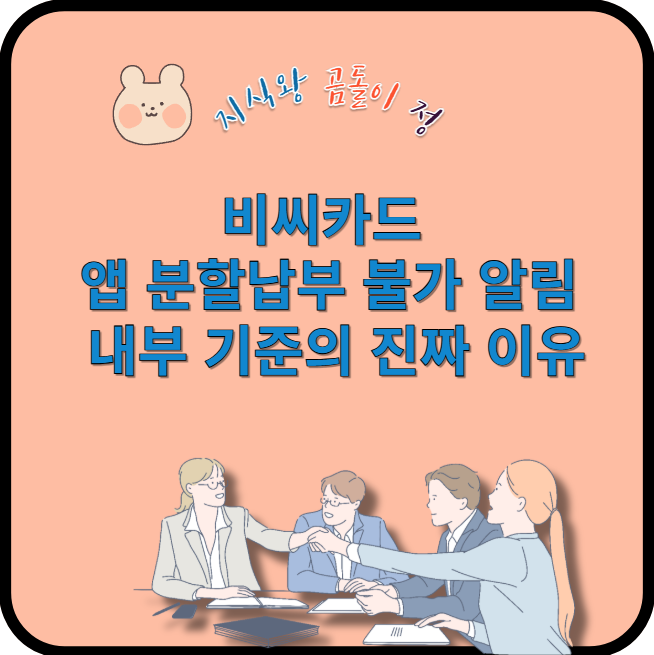 비씨카드 앱 분할납부 불가 알림 내부 기준의 진짜 이유