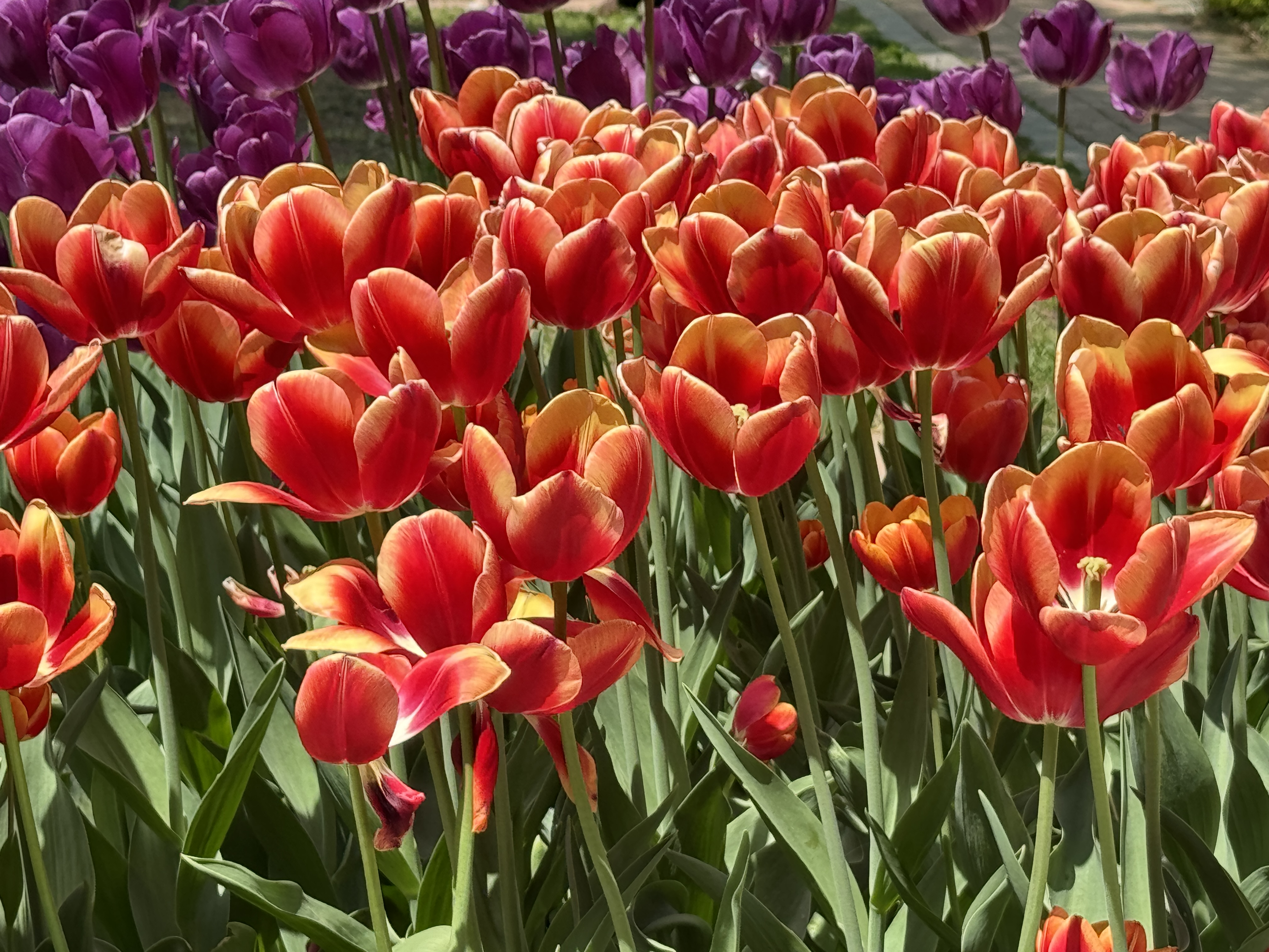 부천자연생태공원