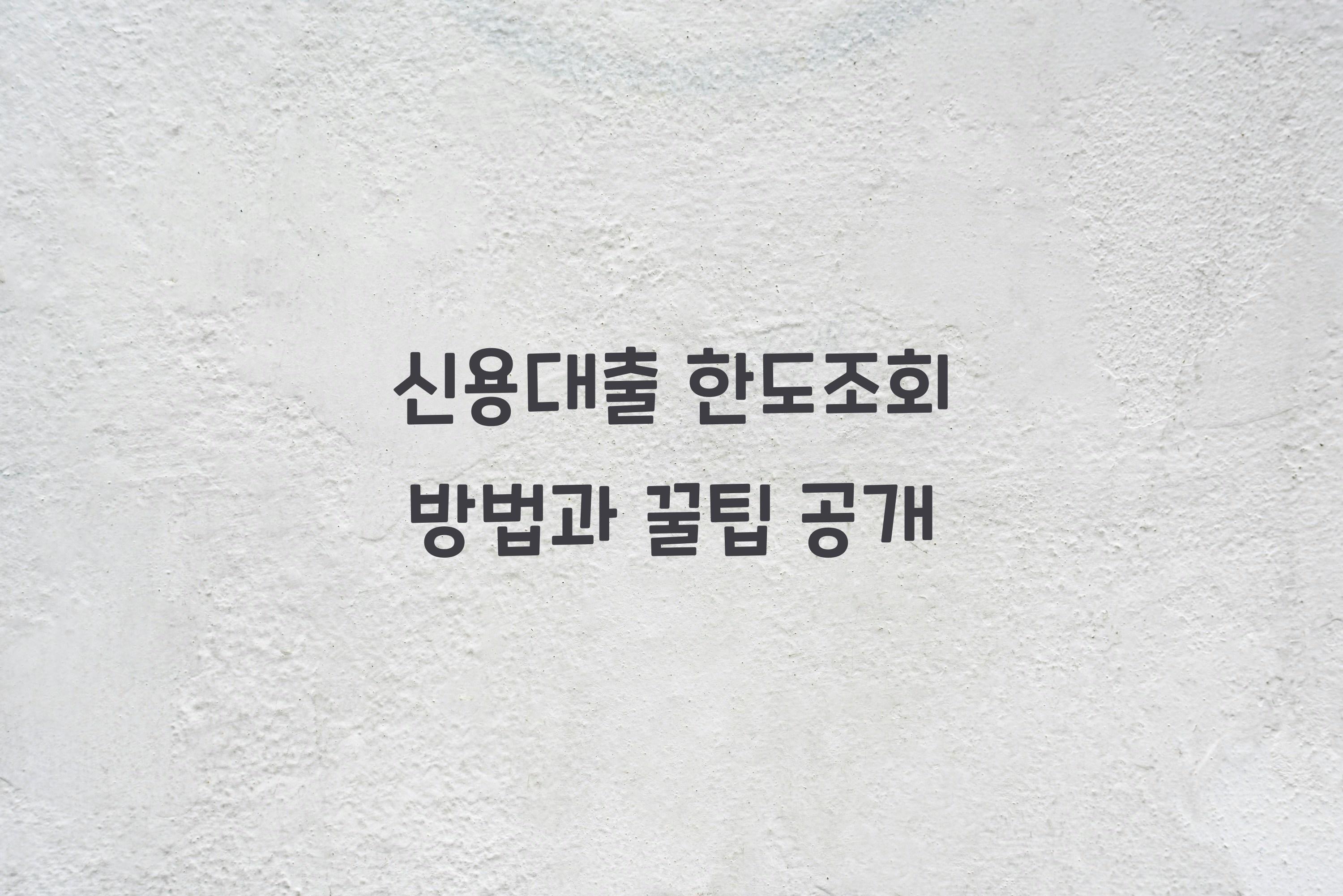 신용대출 한도조회