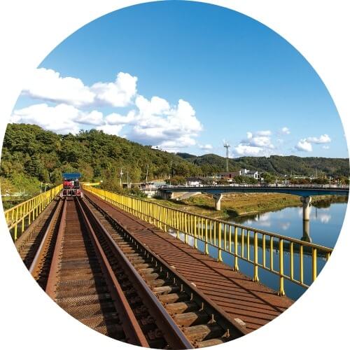 2025/2026 웰리힐리파크 스키장 시즌권 렌탈 할인 완벽 가이드