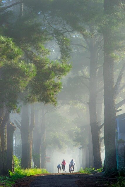 공항철도 요금, 직통과 일반요금 차이 총정리