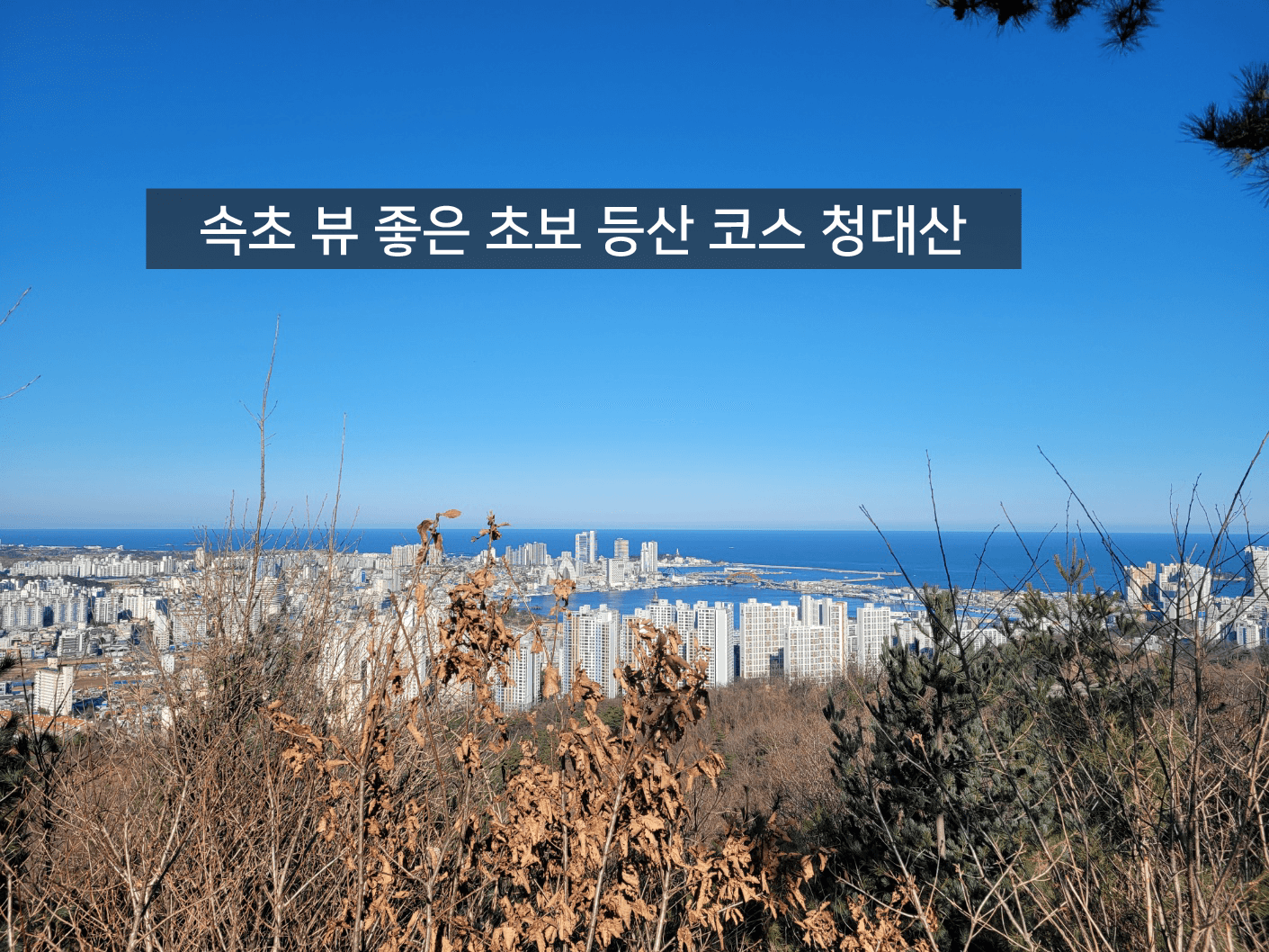 청대산