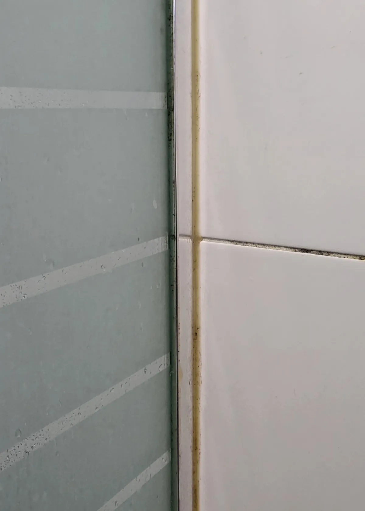 화장실-곰팡이-제거-전-사진