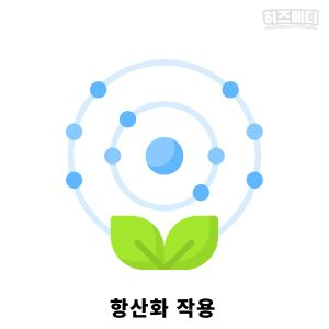 루테인 효능 부작용