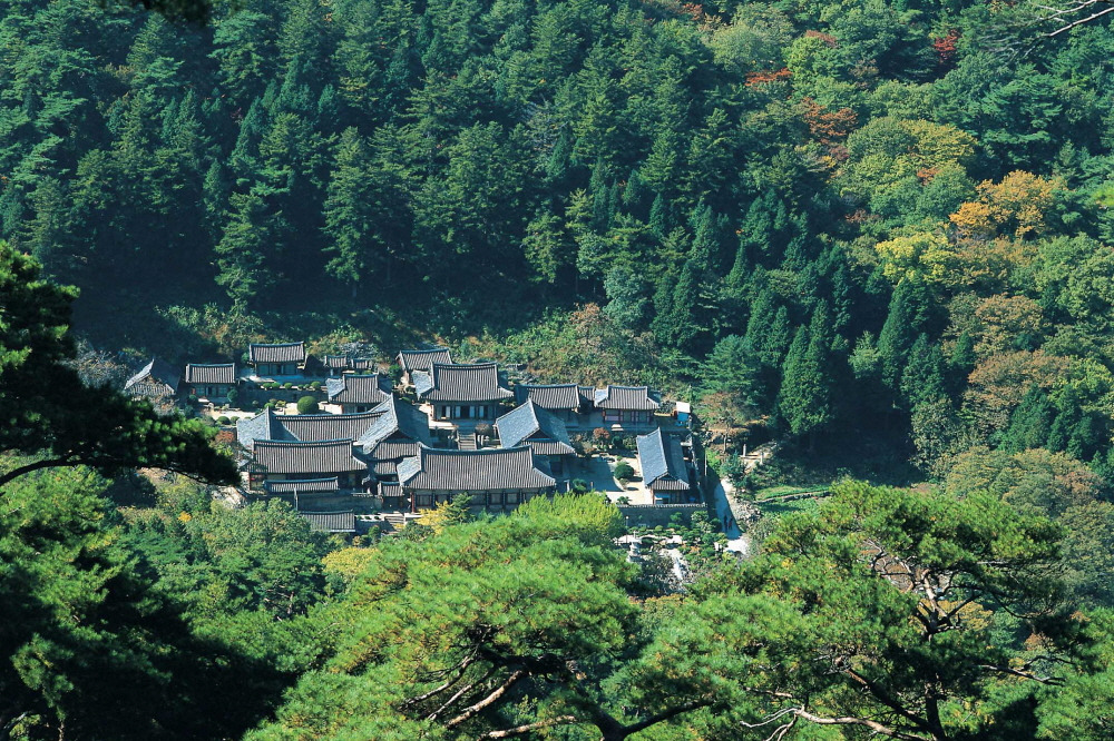 연화산 등산코스