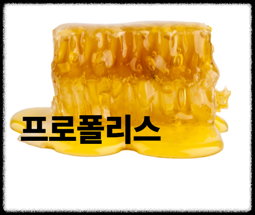 프로폴리스 효능