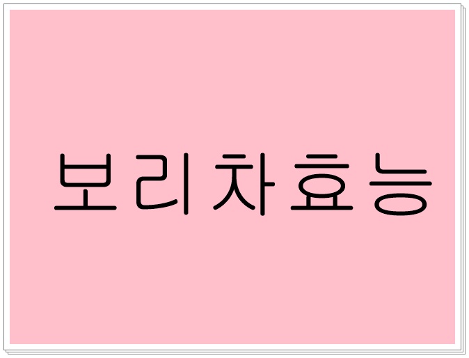 보리차효능