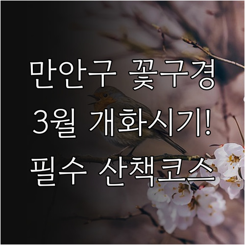 안양 만안구 3월 개화 시기 및 주요..