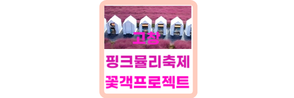 고창 핑크뮬리축제