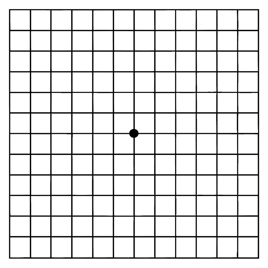 황반변성 자가진단