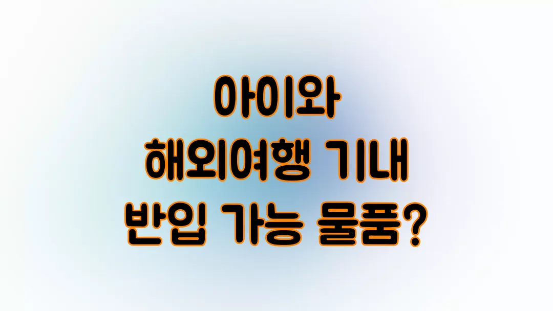 아이와 함께 해외여행시 기내 반입 가능 물품은?