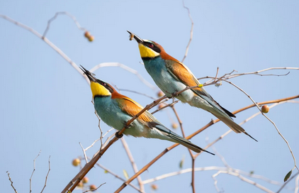 생태계 파괴와 복원의 필요성