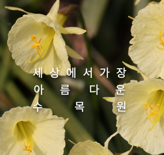 천리포수목원