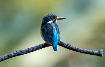 등기부등본 인터넷발급 2025 4