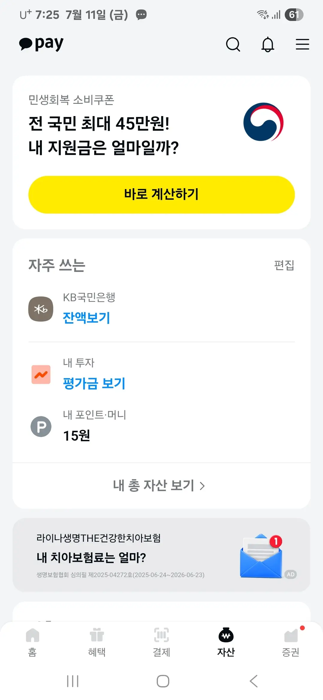 카카오페이 자산