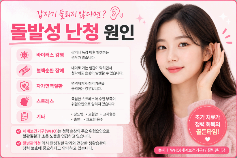돌발성 난청 원인 이미지사진