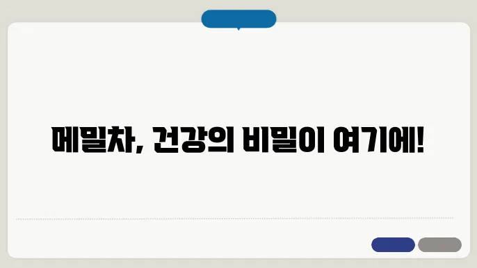 타타리 메밀차 볶은 메밀차 쓴메미차 흑메밀차 효능