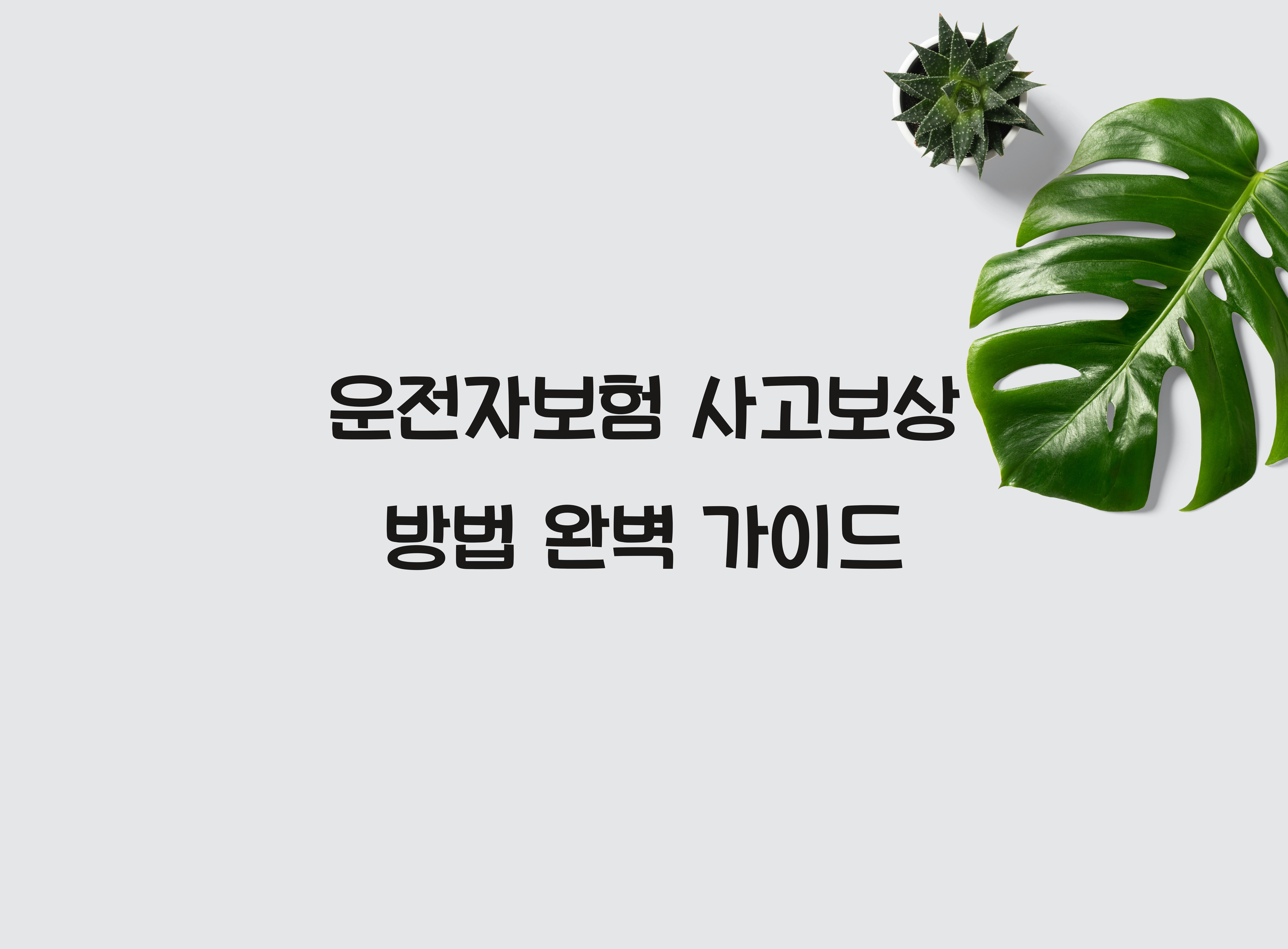 운전자보험 사고보상 방법