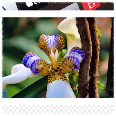 앱만 지우면 해지되는 거 아닌가요?