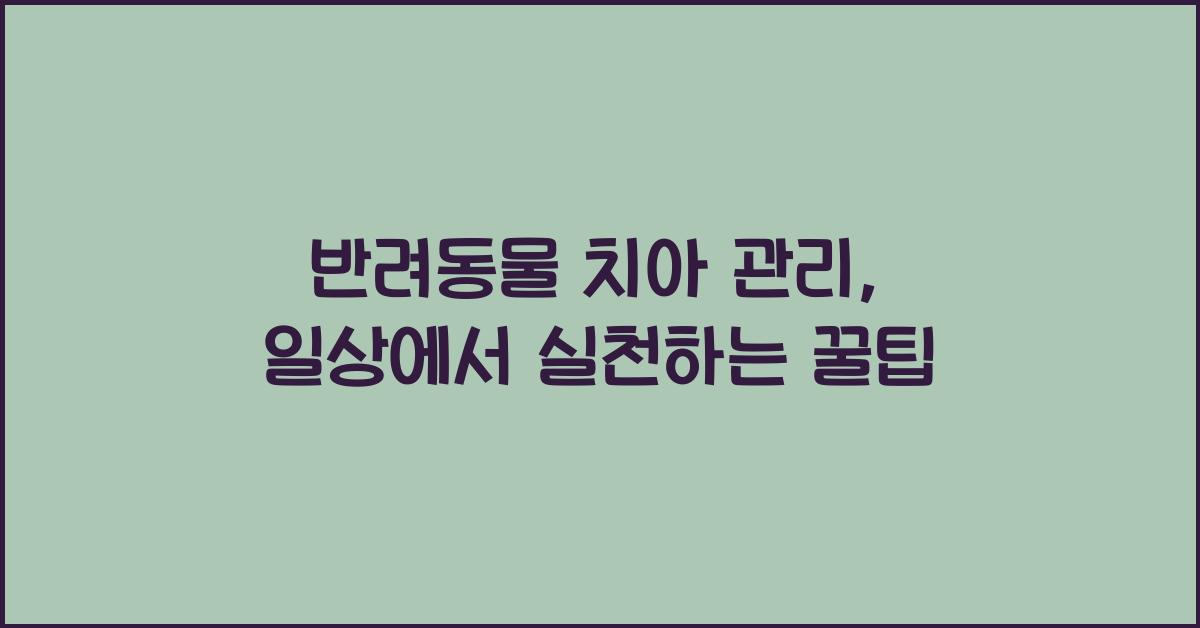 반려동물 치아 관리