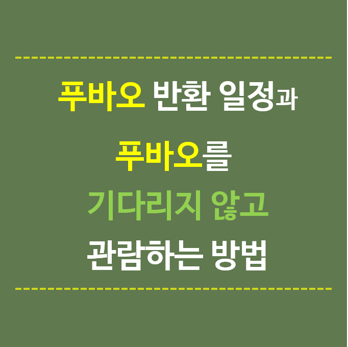 푸바오-반환일정과-푸바오를-기다리지않고-관람하는-방법