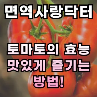 토마토 효능 항산화 작용과 피부건강 효과 정리_6