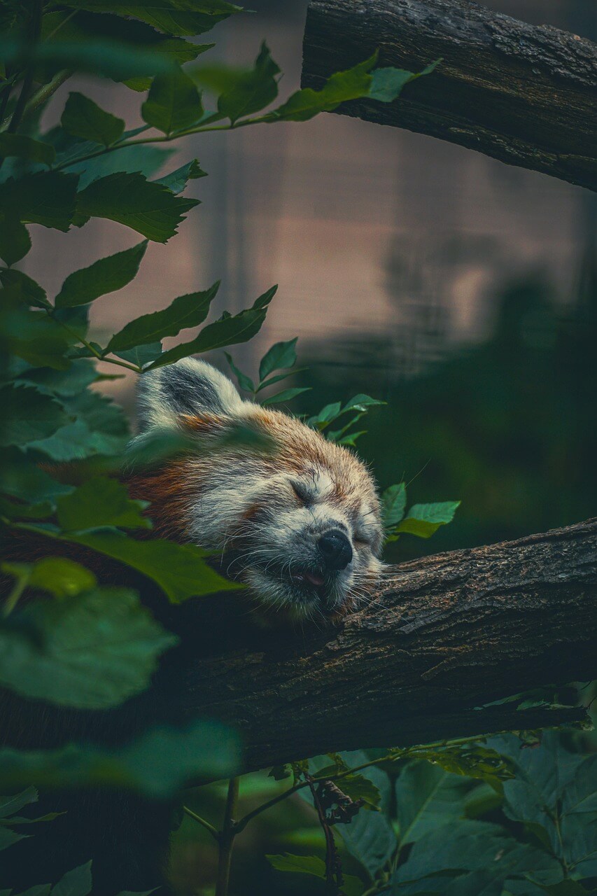 폭염 속 건강 관리와 에어컨 전기세 절약 방법4