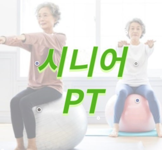 고연령층 운동법