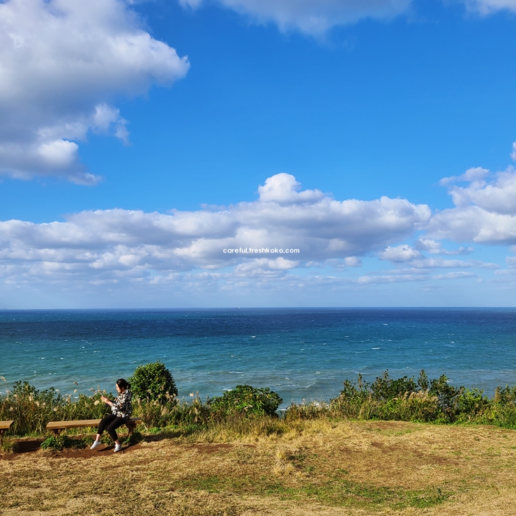도두봉 키세스존
