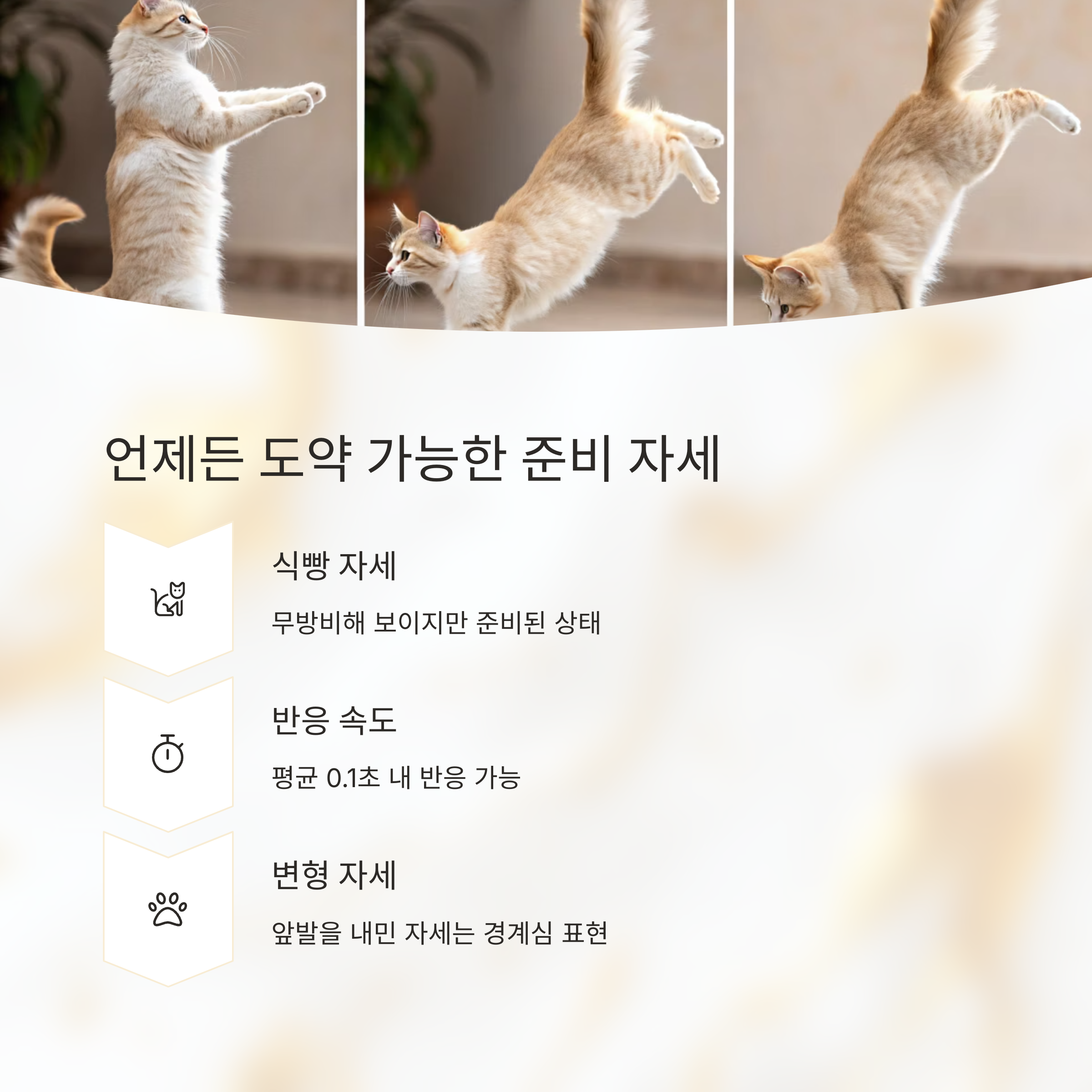 언제든 도약 가능한 준비 자세