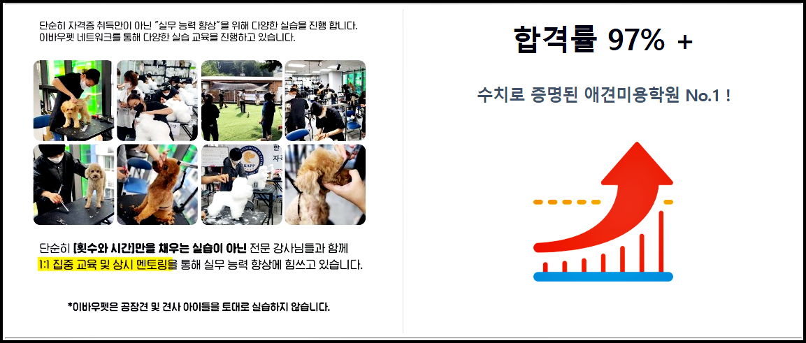 애견미용자격증