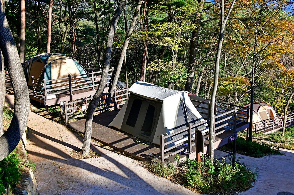 경남 신어산자연숲캠핑장