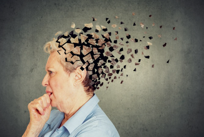 알츠하이머·파킨슨·혈관성 치매 차이점 총정리 + 증상 체크리스트