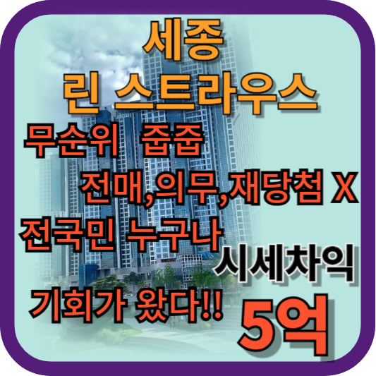 세종_린_스트라우스_무순위_줍줍