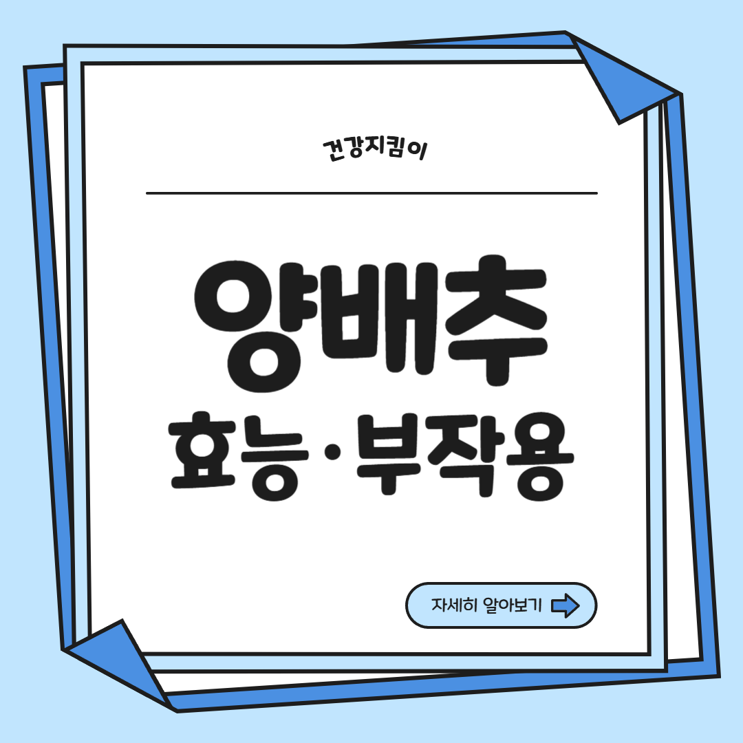 양배추 효능과 부작용 칼로리