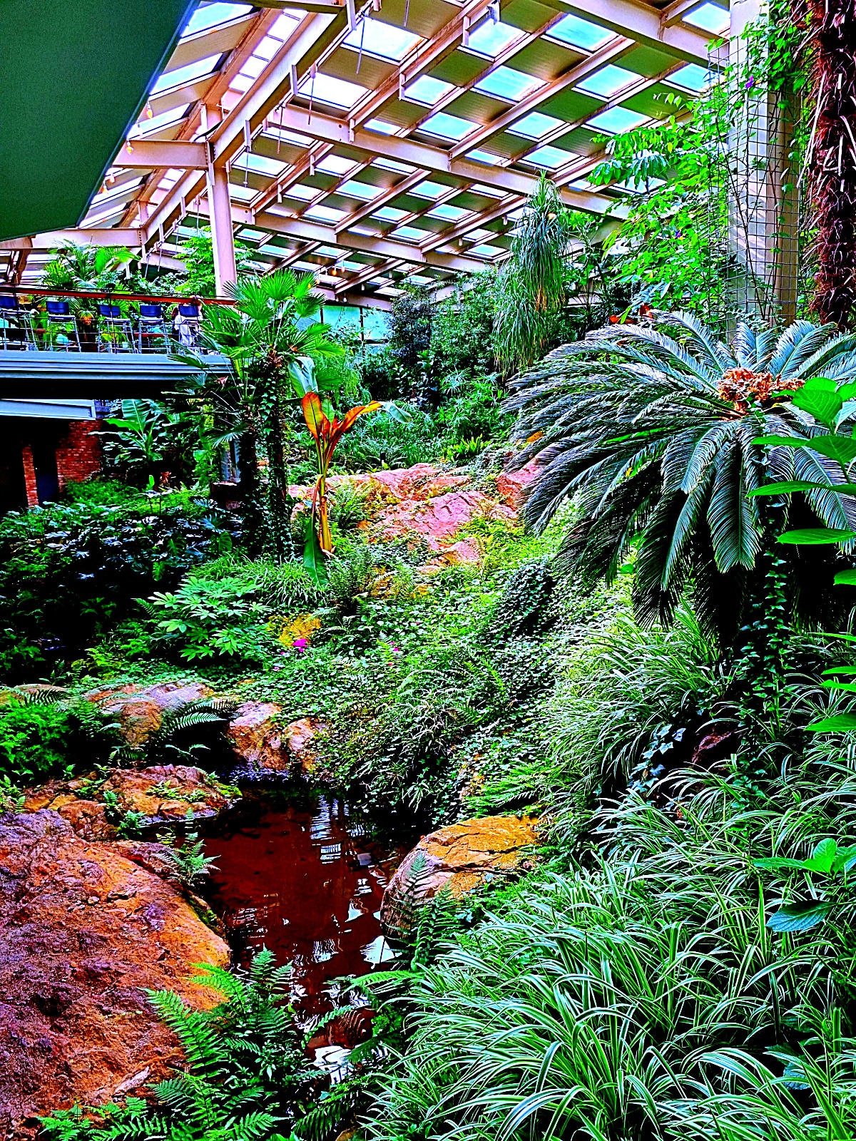 양주 오랑주리 카페: 자연 그대로 실내에 담은 대형 식물원 카페