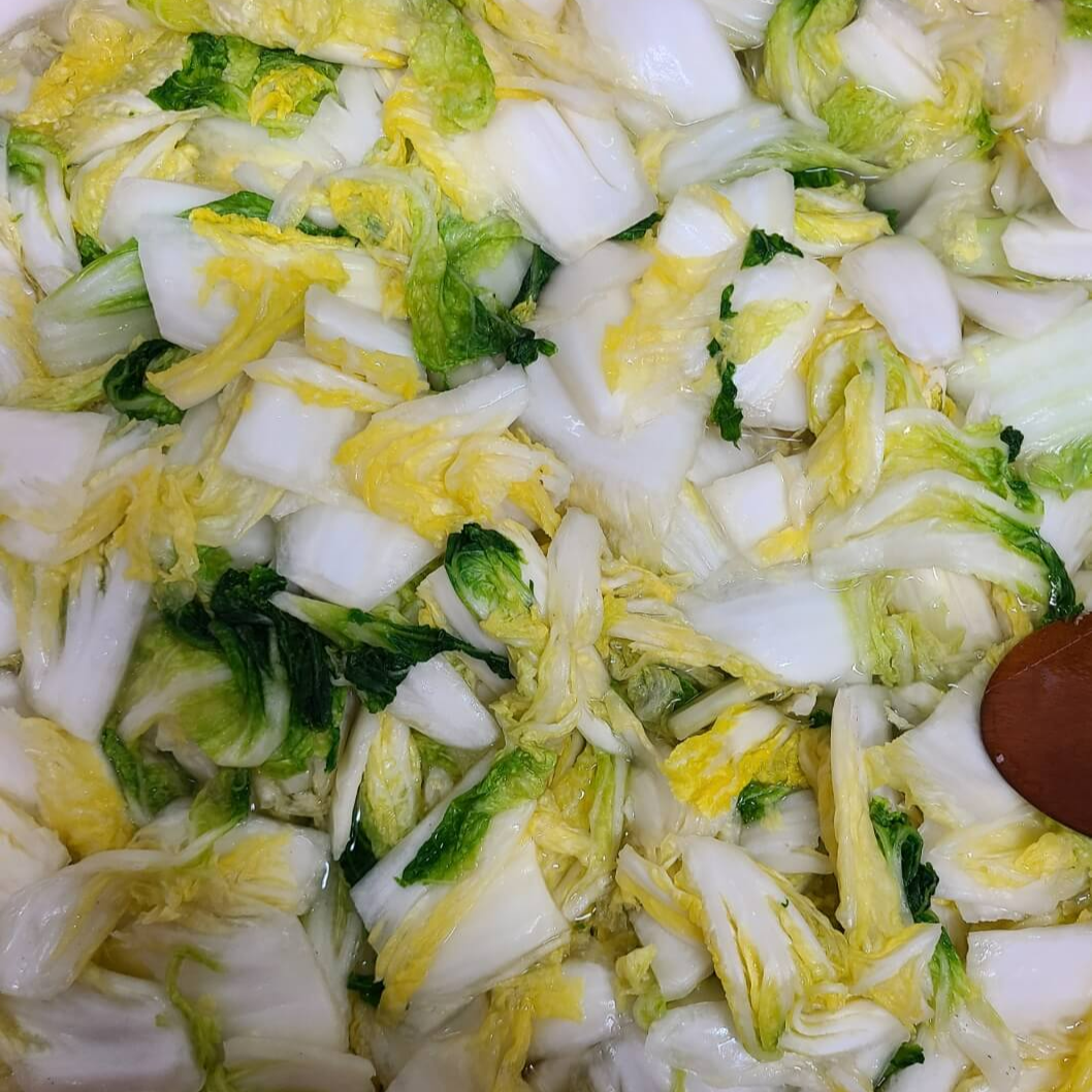 보쌈 배추 절이기 배추 한포기 절이기 알배기배추 절이기 겉절이 배추 절이기 배추절이는법 김치 절이기 술지게미에 배추 절이기 배추 절이기 소금농도 배추 절이기 배추 절이기 황금비율 배추 절이기 노하우 배추 절이기 배추 절이는 시간 배추 절이기 시간 배추 절이기 삼투압 배추 절이기 소금비율 김장배추 절이기 소금물 만들기 김장배추 절이기 배추3포기 소금절이기 배추10포기 절이기 배추20포기 절이기 초간단 김장배추 절이기 배추 김장봉투에 절이기 배추절이기 염도 배추절이기 백종원 배추절이기 겉절이 김장봉투에 배추절이기 꽃소금으로 배추절이기 바닷물로 배추절이기 맛나요리 배추절이기 만물상 배추절이기 천일염 배추절이기 배추절이기 노하우 김장배추절이기 배추 절이기의 비법 배추절이기소금양 김장배추 절이기 소금물염도맞추기