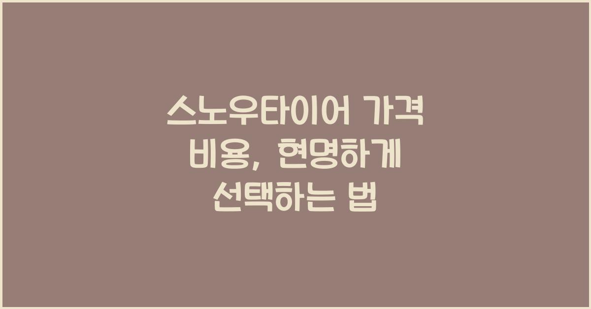스노우타이어 가격 비용