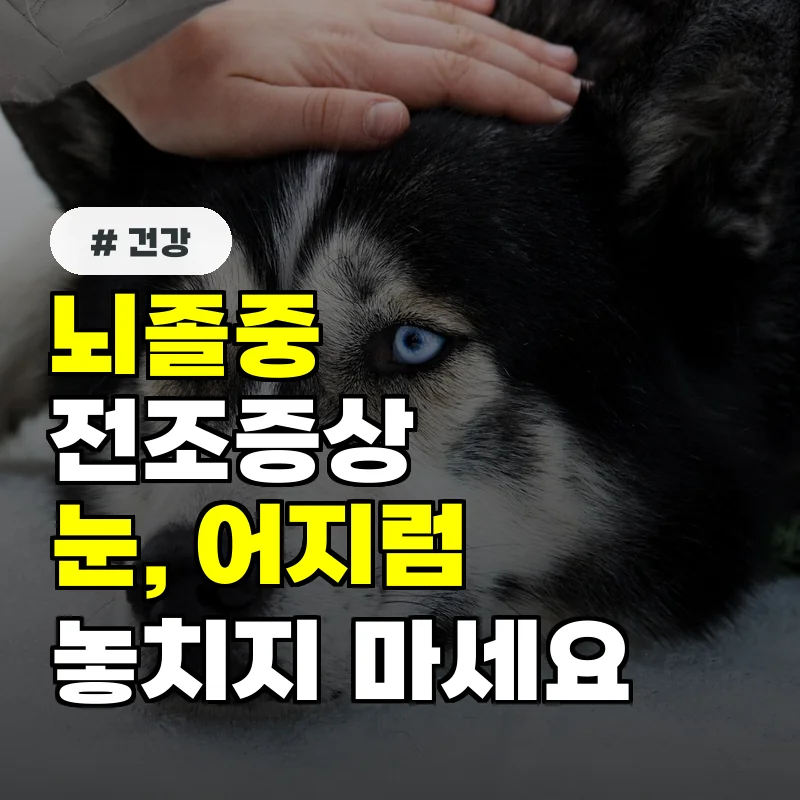 뇌졸중 전조증상 놓치면 안 돼! 어지럼증, 눈 증상도 위험 신호였다