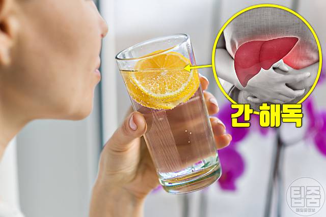 아침 공복 레몬물 효능,간 해독