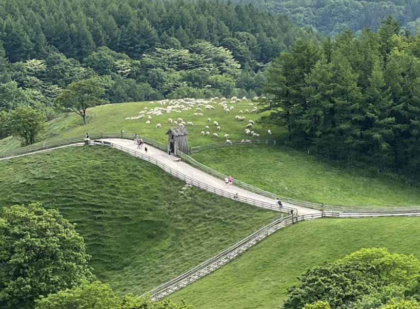 2025 추석연휴 강원도 가볼만한 곳 Best 5