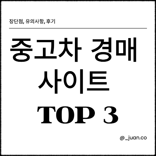 중고차 경매 사이트