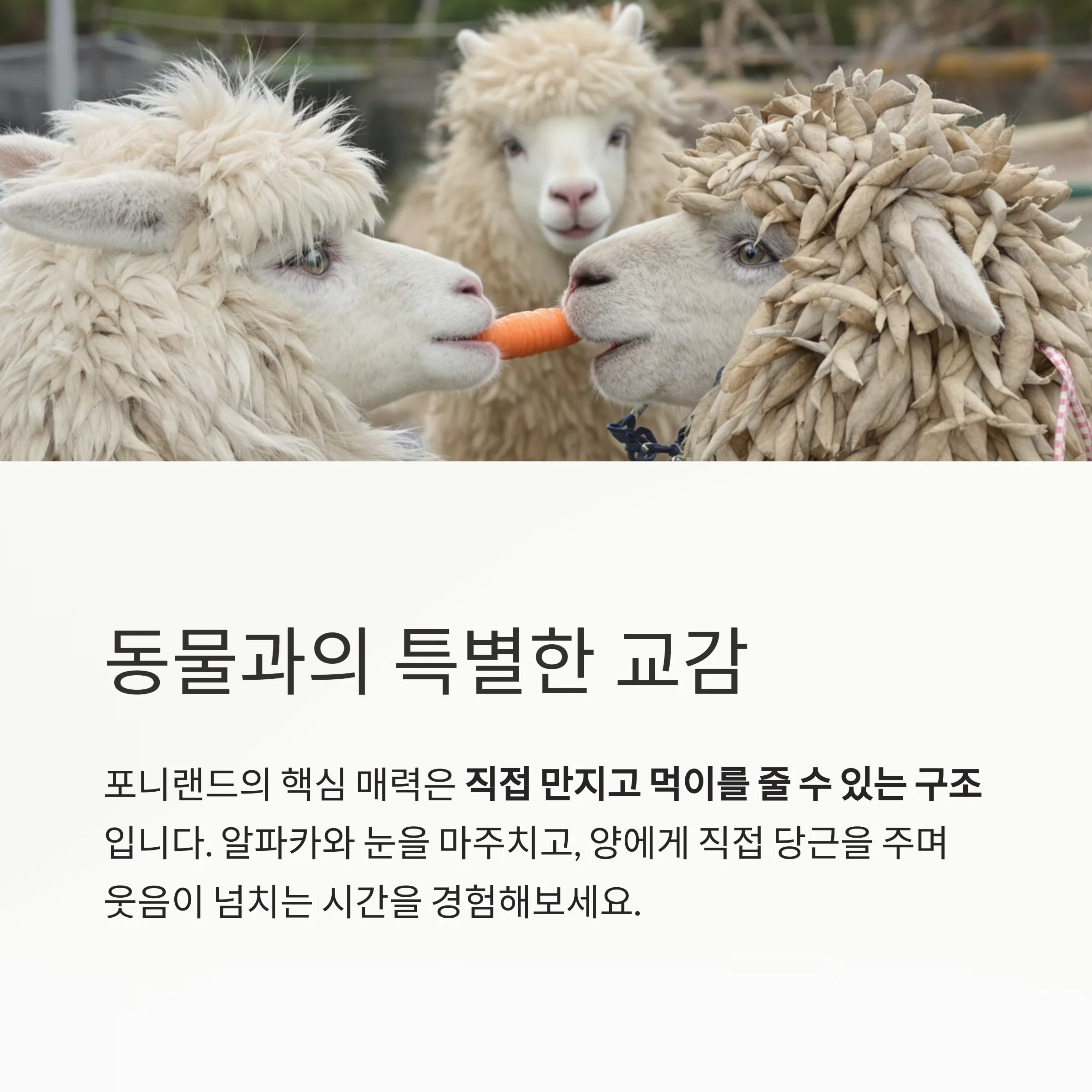 울산 언양 포니랜드 완전정복