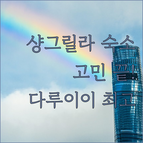 샹그릴라 숙소 고민 끝! 다오청 다루..