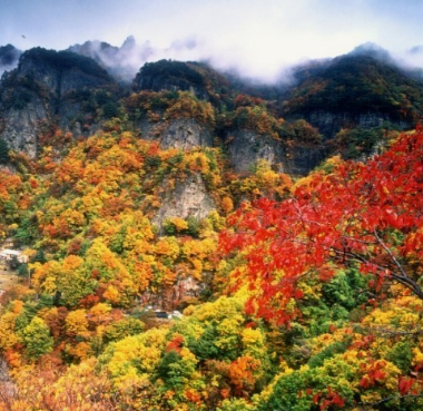 가을에 꼭 가야하는 단풍이 유명한곳 BEST 5곳