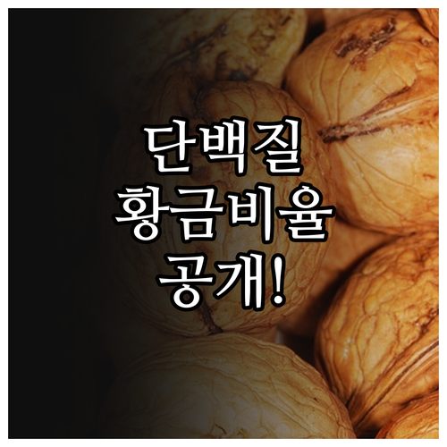 단백질 하루 섭취량 총정리 및 동물성..