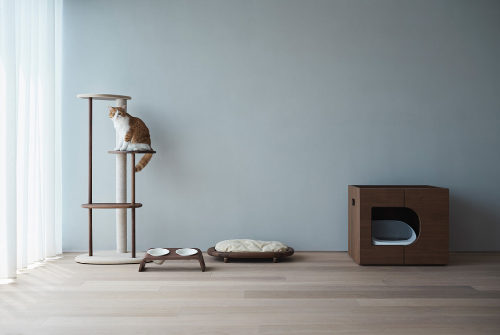 고양이 야생 본능 채우는 방법, 집에서 하는 사냥놀이 루틴